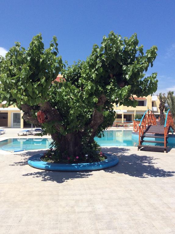 Angelos Beach Hotel Faliraki Extérieur photo